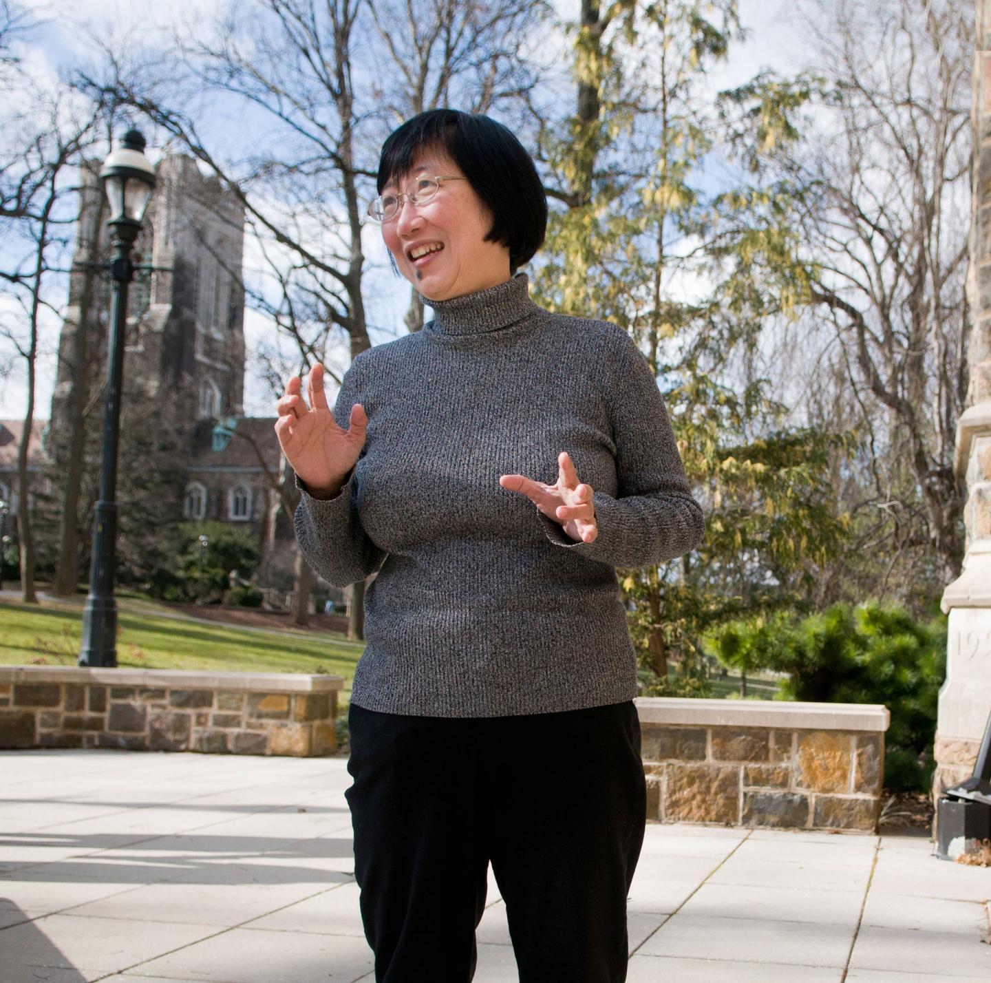 Mooi Choo Chuah, 	Lehigh University