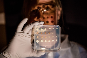 Designing Microbe Factories for Sustainable Chemicals