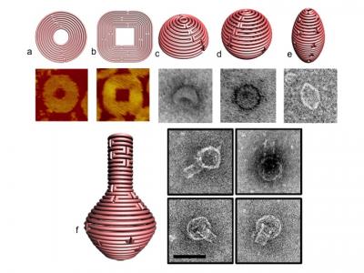Nanostructures Made Using DNA Origami