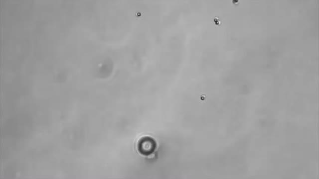 Self-Propelling Particles Mimic Organisms' Upstream Moves