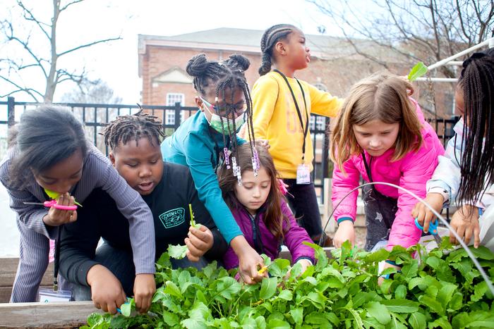 Kids Working in Garden as Part of FRESHFARM School-Based Food Education Program
