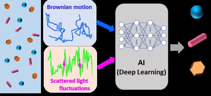 AI-based nanoparticle morphology classification