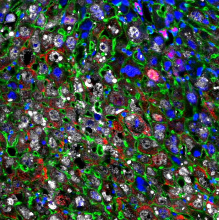 Science image