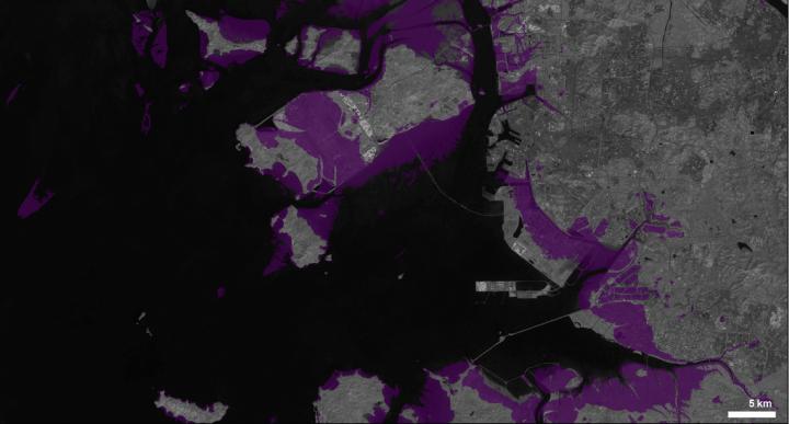 Intertidal Loss