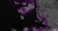 Intertidal Loss