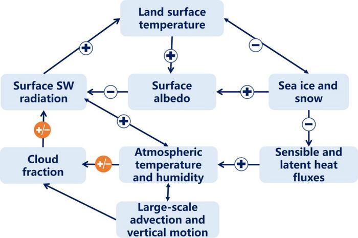 Schematic of the interaction between cloud cover and shortwave radiation flux in the Arctic region.