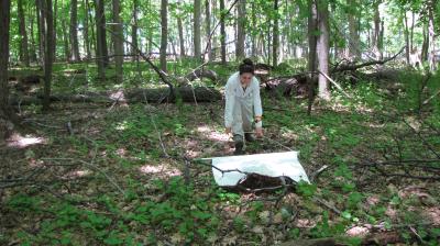 Surveying Ticks with a Drag Cloth
