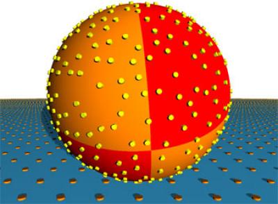 Cell Adhesion in Hydrodynamic Flow