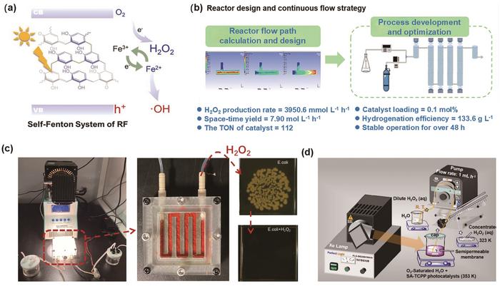 Metal-free catalysts break through in green H2O2 synthesis! Novel organic semiconductors enable high-efficiency interfacial reactions