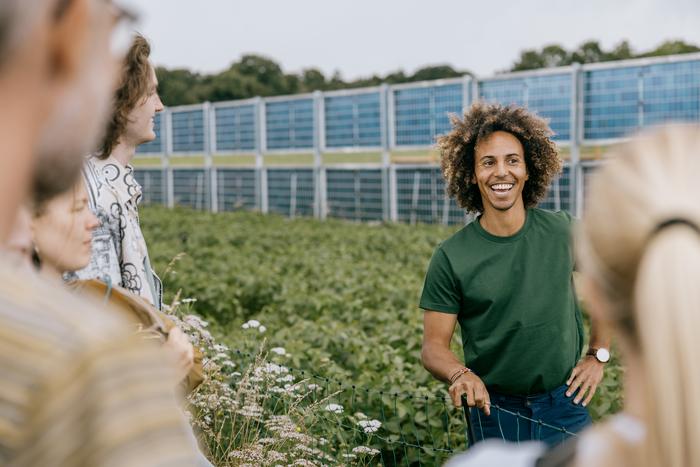 Students and researchers at the AU agrivoltaic field