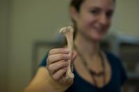 Ashley Sharp, Smithsonian Tropical Research Institute