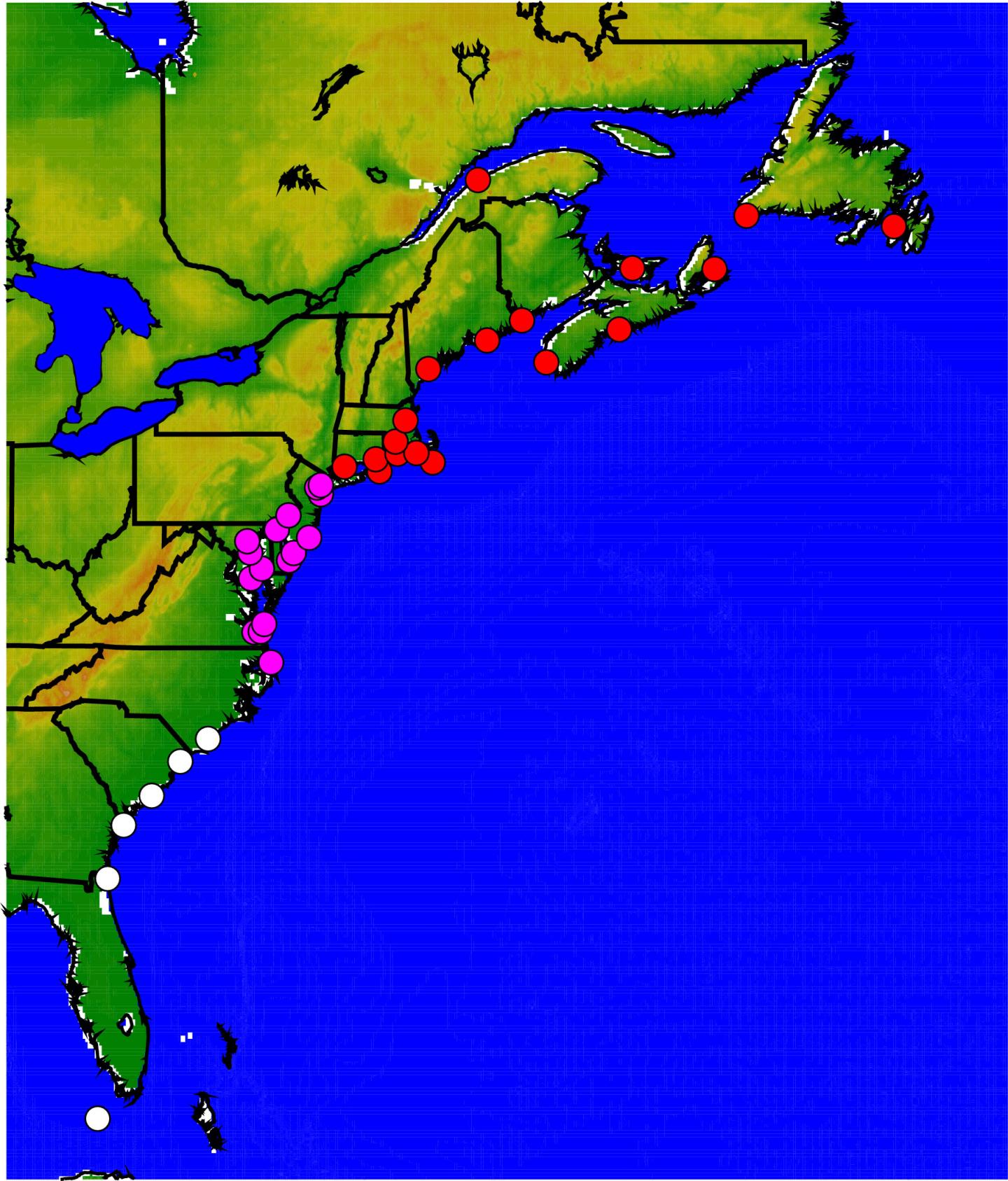 Tide Gauges, Eastern North America