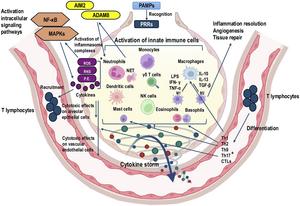 Innate and Adaptive Immune Cells Driving the Cytokine Storm in ARDS