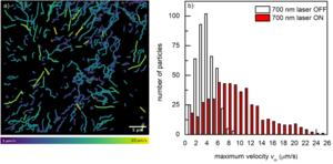 a) Trajectories and b) maximum velocities of the Ag-Ag2S/TiO2 nanomotors recorded ~7 s after continuous irradiation with 700 nm NIR light.