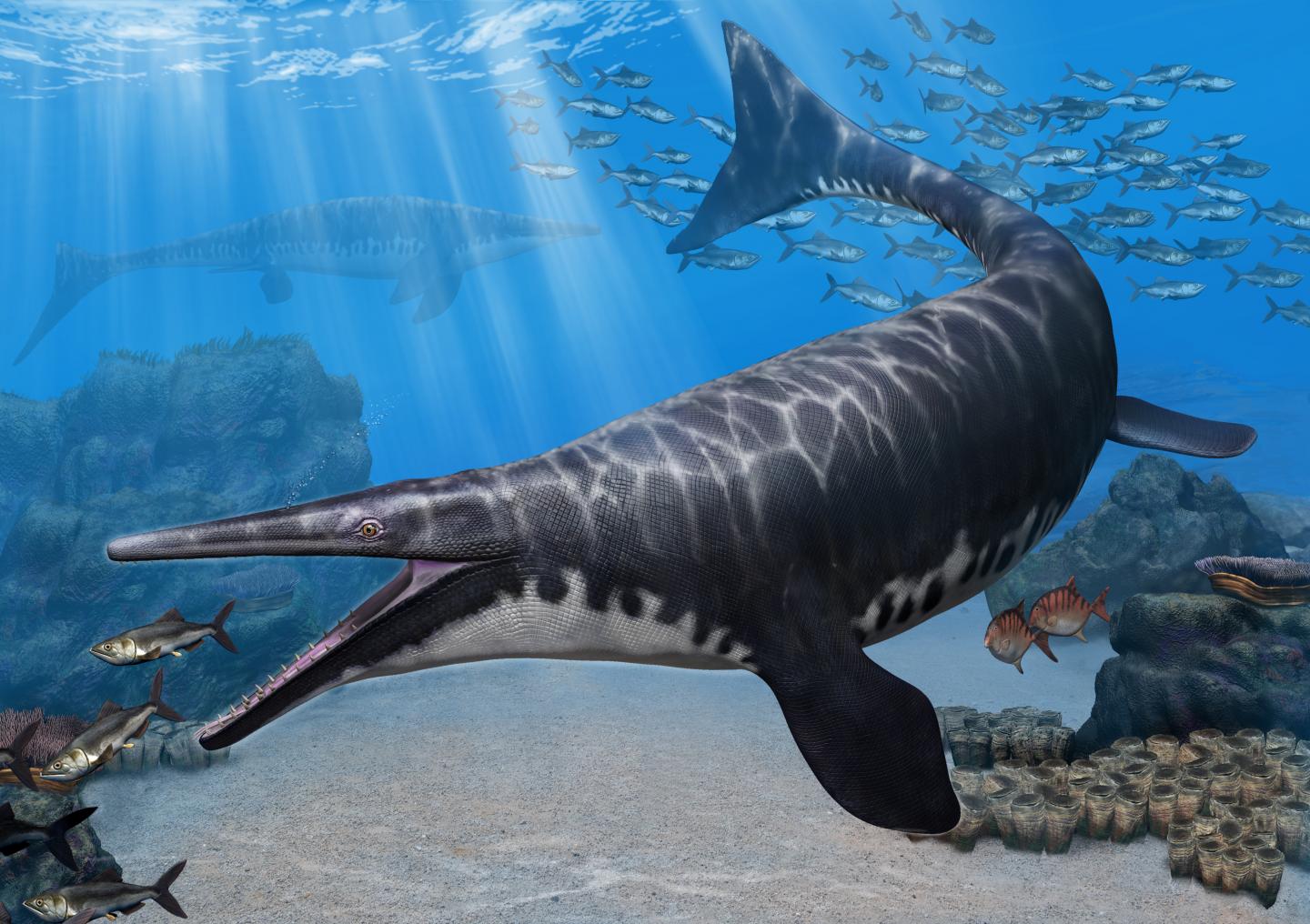 Gavialimimus almaghribensis