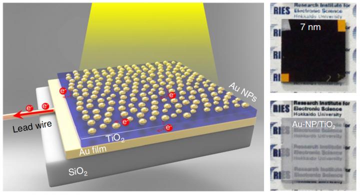 Photoelectrode