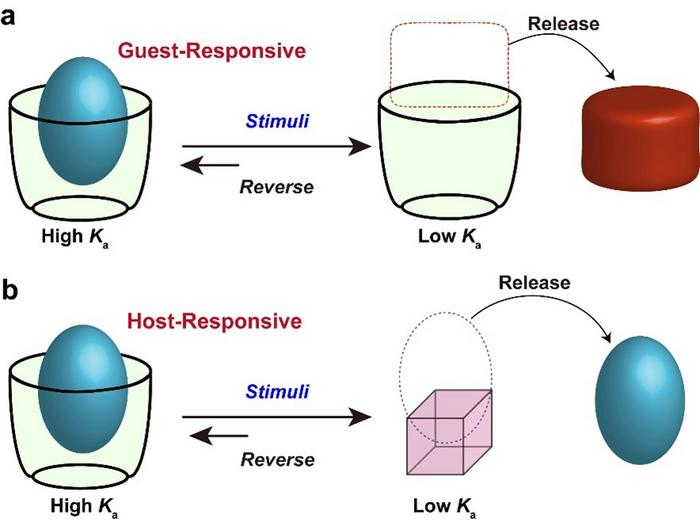 Illustration of responsive host-guest systems