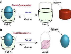Illustration of responsive host-guest systems