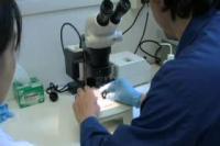 Rock of the Ages: Clues About Mars Evolution Revealed (1 of 2)