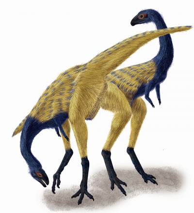 <i>Limusaurus</i>