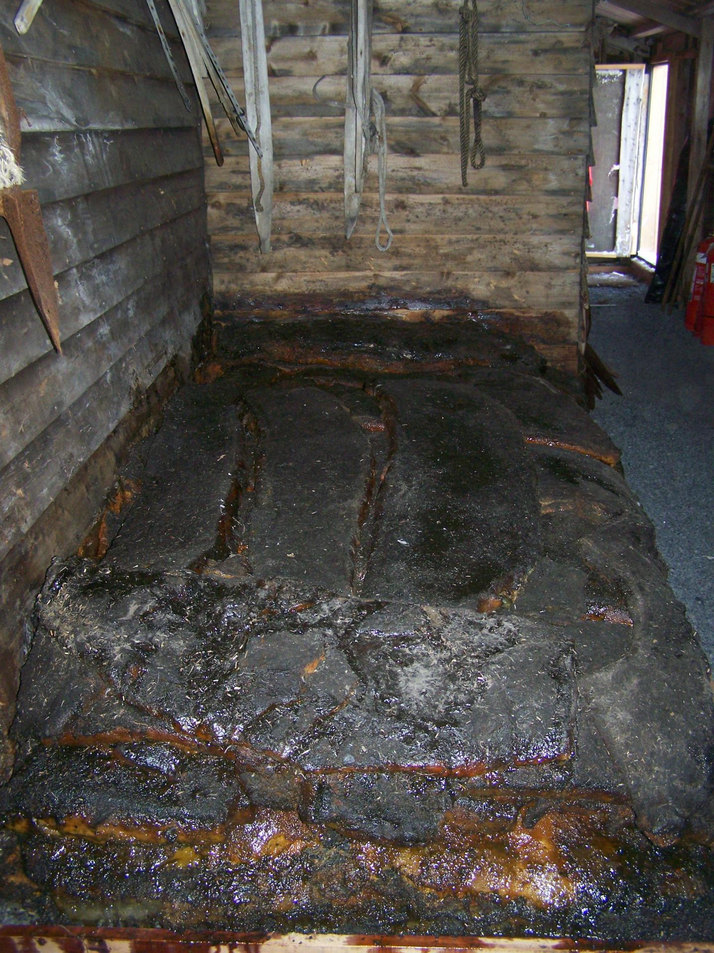 Weddell Seal Pelts
