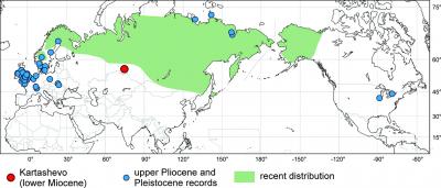 Distribution