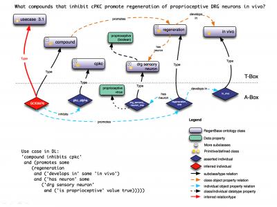 RegenBase Ontology
