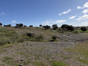 Large mining complex (approx. 200 x 50 m)