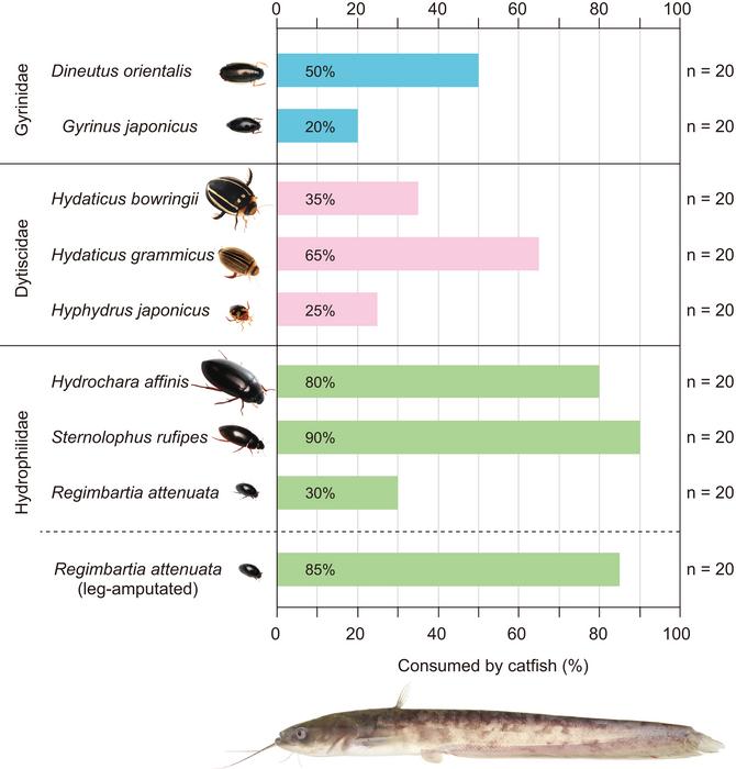 260312-Sugiura-Fish-Stats
