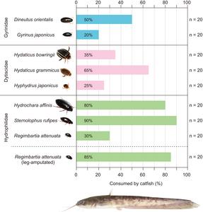 260312-Sugiura-Fish-Stats