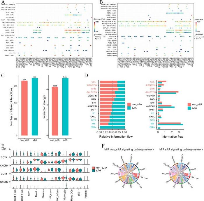 Cellular communication between immune cells.
