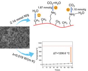 WHAT PROPERTIES DO BIFUNCTIONALIZED HYBRID SILICA AEROGELS POSSESS.