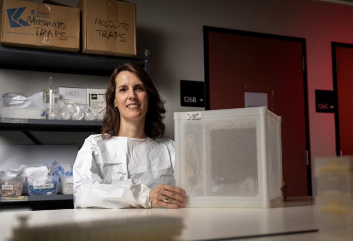 Cracking the code of mosquito-borne disease outbreaks