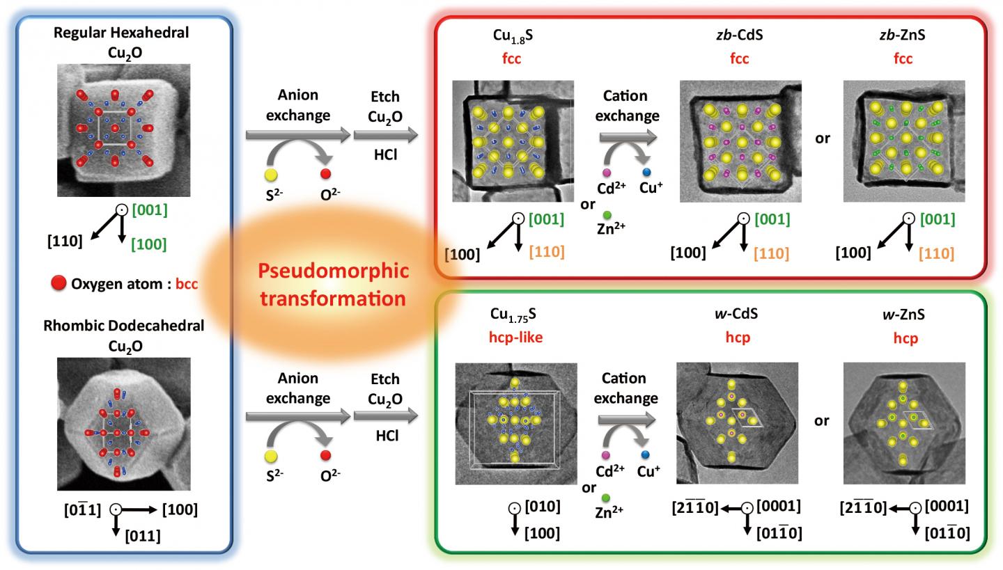 Structural Shape Influences Nanocage Formation