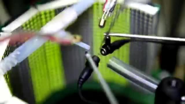 A Fruit Fly in An Experimental Virtual Reality Arena