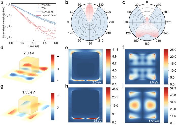 Figure 2 | Physical scenario of enhanced upconversion in plasmonic cavity.