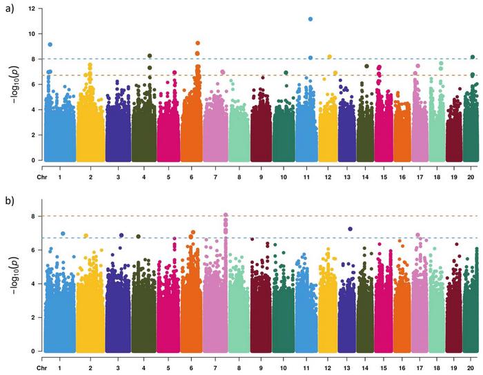 Manhattan plots showing the GWAS results from the integrated dataset for (a) FW and (b) TSS traits.