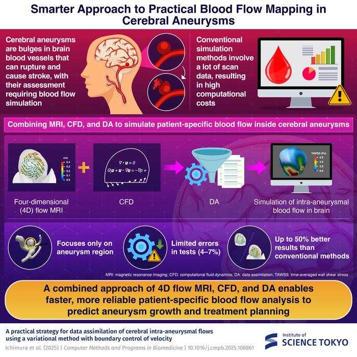 Smarter Approach to Practical Blood Flow Mapping in Cerebral Aneurysms