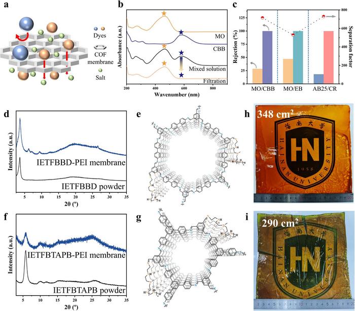 Molecular Separation Performance and Large-Area Fabrication of COF Membranes