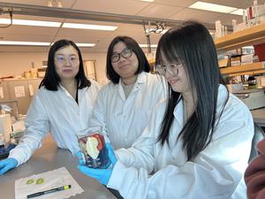 Dr. Tianxi Yang and students