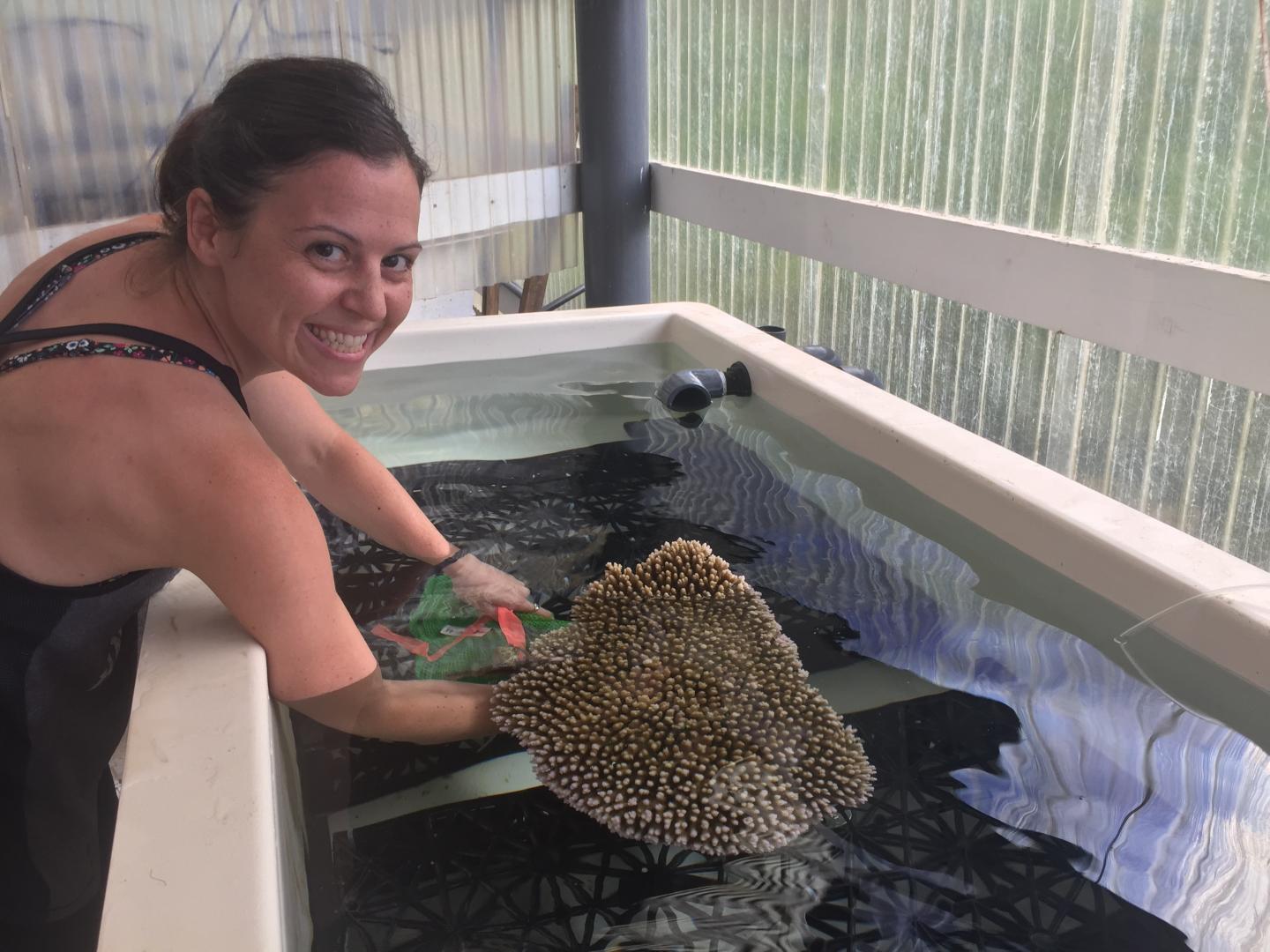 Hollie Putnam, Coral Biologist, University of Rhode Island