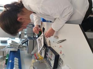 Preparation of the HippoBox project