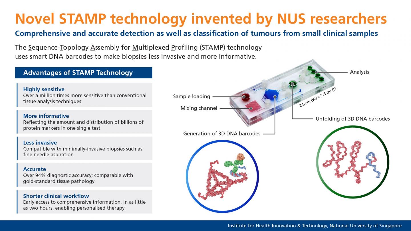 Novel STAMP Technology Invented by NUS Researchers (2 of 2)