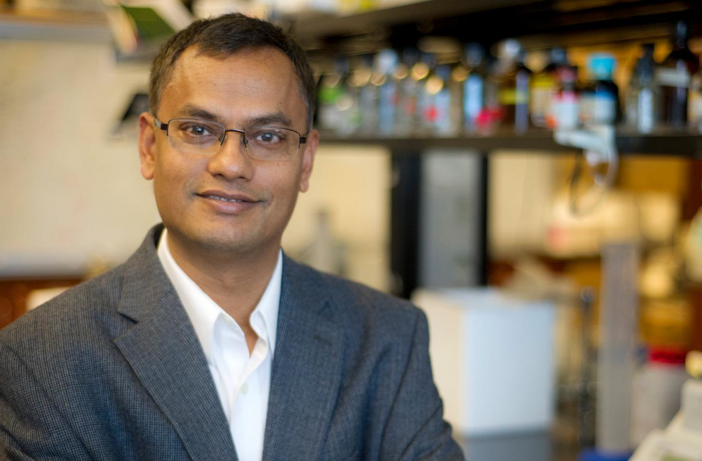 Subhrangsu Mandal, University of Texas at Arlington