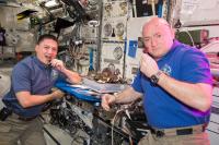 Produce From ISS