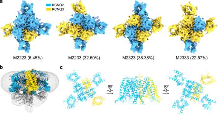 Fig. 1