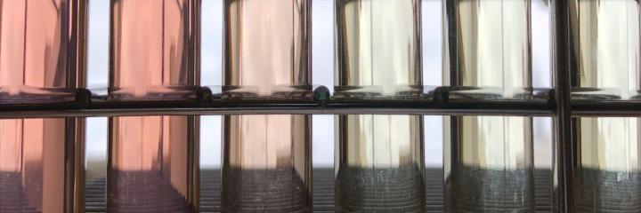 BioAlchemy: Treating Wastewater at the Point of Production