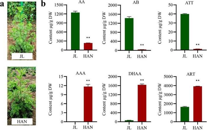 Fig.1