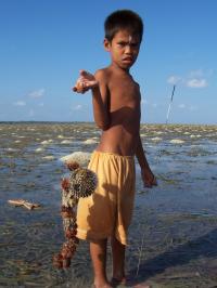 Seagrass Commons Tragedy (1 of 3)