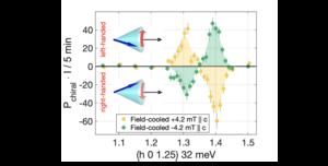 Reversible switching of magnon chirality.